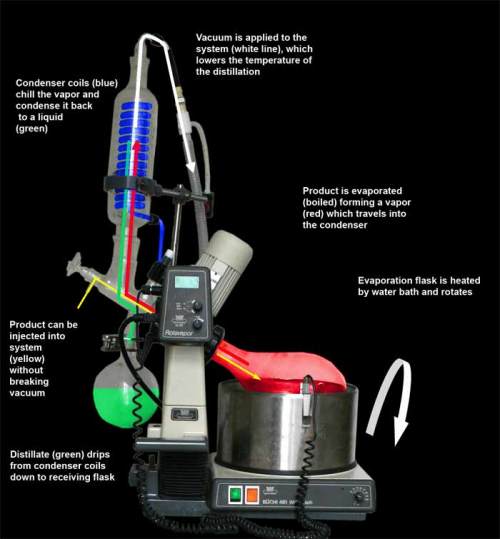 rotovap-function