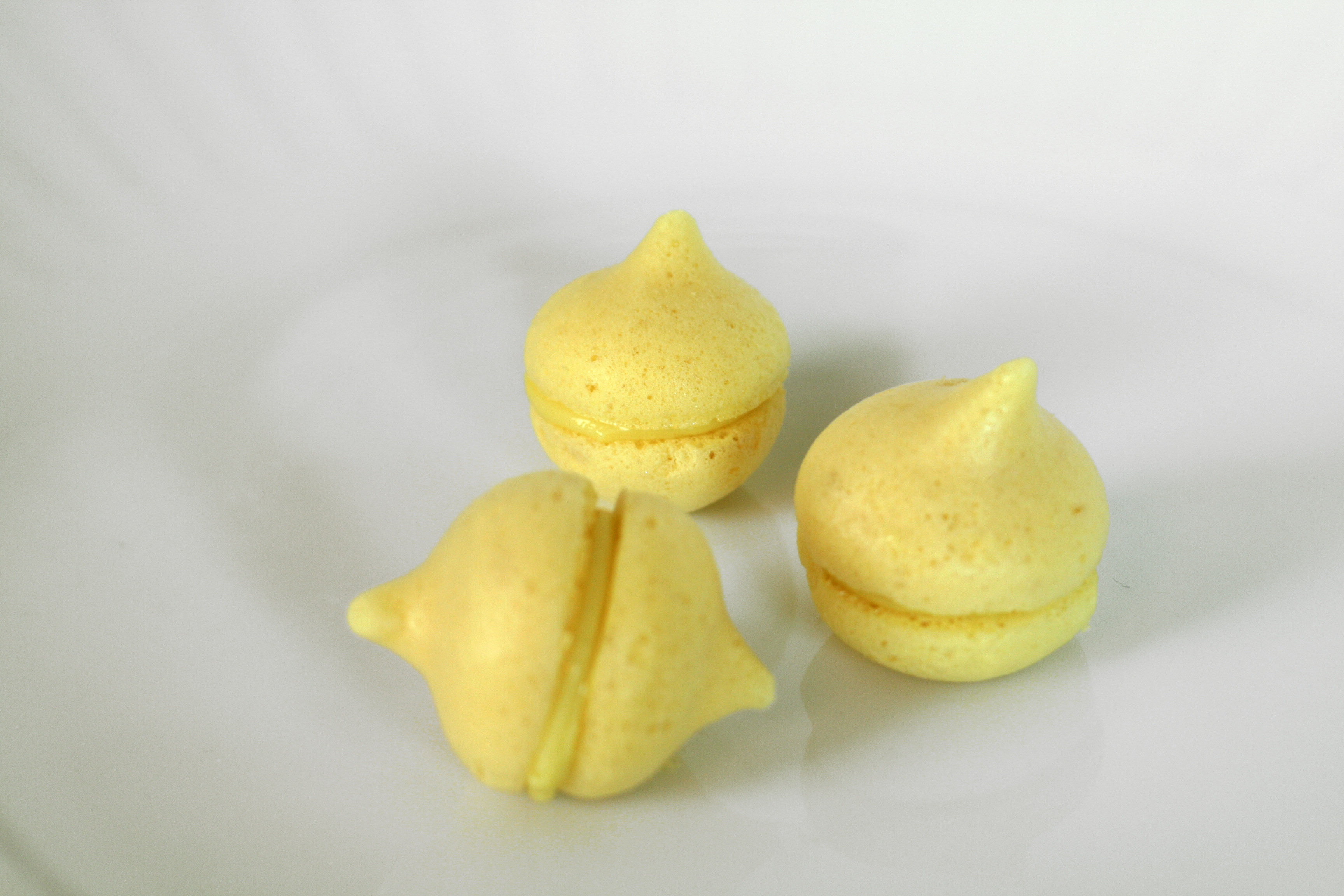 passion fruit methocel f-50 meringue with white-chocolate fennel cream