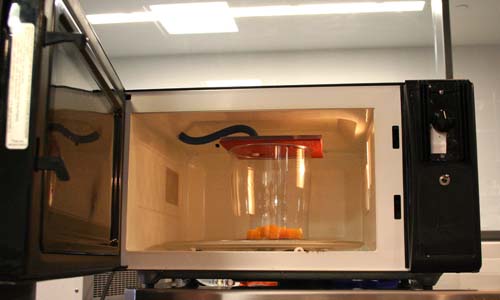 Microwave_Vacuum Modified linear-power microwave with vacuum chamber