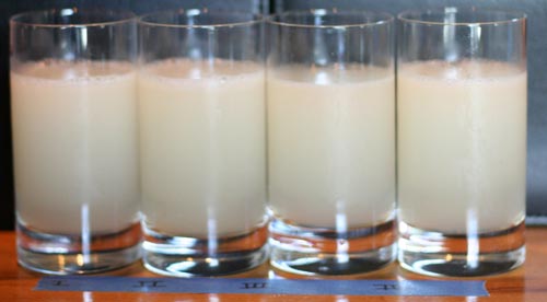 AgaveShake Daiquiri made with agave nectar (no one was a huge fan).