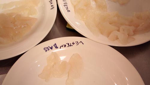 BlackBass Black sea bass, no bleed on bottom, Japanese-bled on left, Ike Jime on right