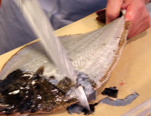 Cutting_Scales_Fluke_Far_Side_Top Here is the top side of the fluke being scaled. When cutting the scales off the the far side of the fish, grasp the tail and turn it as shown. This twist in the fish helps line up the knife along the flesh of the fish and allows for long even strokes. You want the yanagi to make long strokes. If the surface of the fish dries out, wet it a little to make cutting easier (but not on the bottom or it will get slippery!).