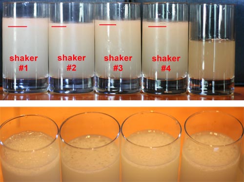 FirsthakeT0WithTopWithKey The very first shake. All other pictures are presented in the same order. These are the drinks right after they were poured. The red line is where the crystals and foam stopped. On the bottom is a close-up of the tops. On the top far-right is a glass of measured but unshaken daiquiri.