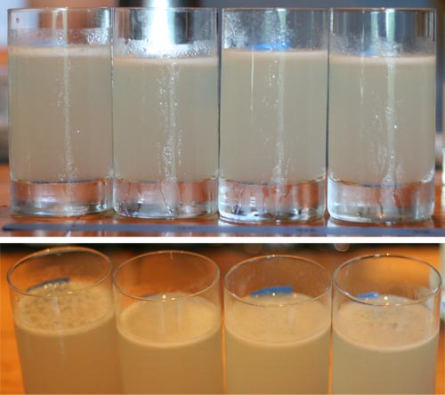 FirsthakeT20WithTop First shake (untasted) 20 minutes out. We tasted them after we took this picture.