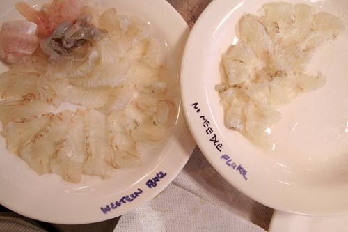 Fluke Fluke, no bleed on left, Japanese-bled on right, Ike Jime not pictured