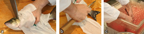 Japanese_Bled Fish 2 “Japanese Bled”: a) cut spine and vessels at head; b) cut spine and vessels at tail; c) bleed in ice water then remove head and gut