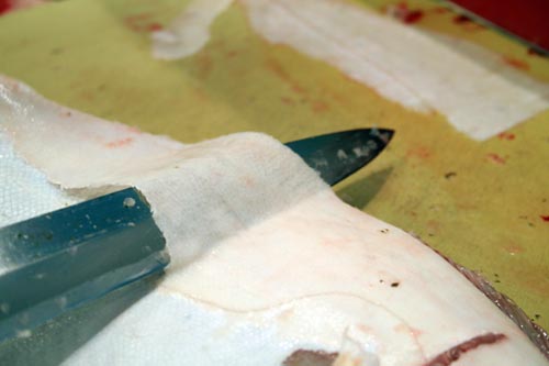 Using a yanagi, the scales are cut off of a fluke in a paper-thin layer without damaging the skin.  Serious badass technique.