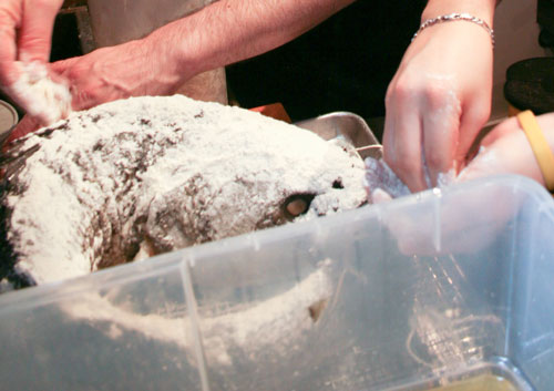 Flour_The_Fish