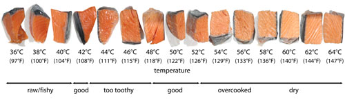 Fish Doneness Temperature Chart