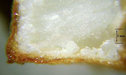 Cold_oil_Fry_Crust Magnified image of the interior and crust of the cold oil French fry.