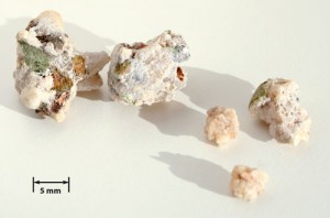 Shir Khesht manna. Check out the leaves in the stuff!