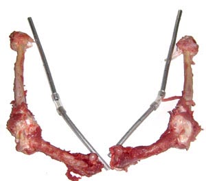 Bionic-Turkey_legs