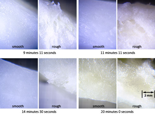 Starting With Cold Water, and Pre-Blanch Tricks: Pectin vs Starch: