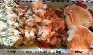 The cooked lobster meat.