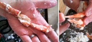 Left: even the little legs had a lot of meat in them. Right: the first pair of swimmerets can be used to determine gender.  These hard pointy ones indicate a male.