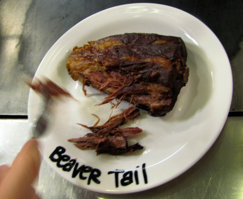 Beaver tail recipes