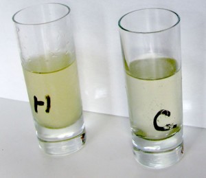 The room temperature rum labeled "H" made a much stronger infusion than the cold rum labeled "C"