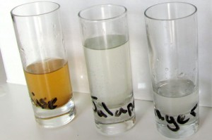 Left to right: star anise; jalapeno; ginger.