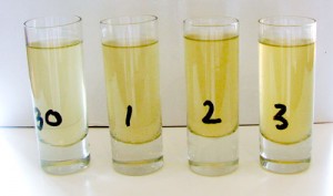 Different infusion times: 30 seconds, one minute, two minutes, three minutes.  In this test, one minute tasted best.