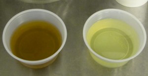 An infusion of crushed Thai basil, on left, turned brown.  Undamaged leaves, on right, didn't.
