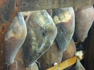 Hams! Hams! Hams! These are aged and ready to go (they don't hand that close together while they are aging).