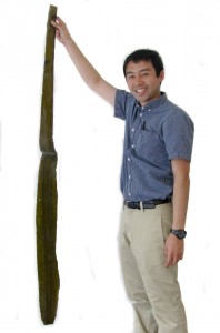 Yuji holding up a leaf of Ma Kombu. Long and strong.