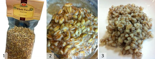 Farro_Posole