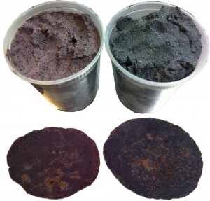Quixtamal on left is much redder than the traditional one on right.  The traditional nixtamalization rendered the corn more basic and turned the anthocyanins a darker shade of blue.