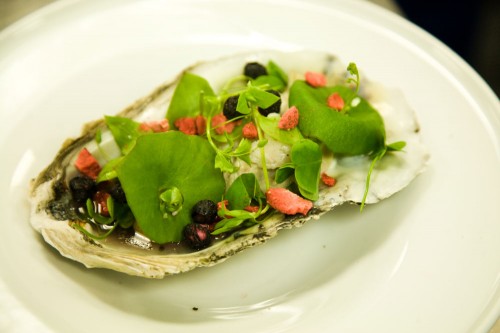 1491_oyster