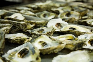 The oyster shells Dave Chang used for plates.  This picture doesn't show how huge they were.