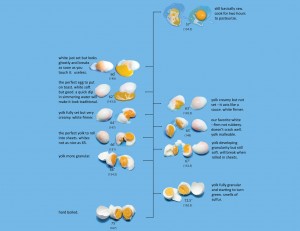 The Egg Chart 2006: This chart shows what happens to eggs when they are cooked to very precise temperatures. I use it to teach low-temperature cooking techniques.