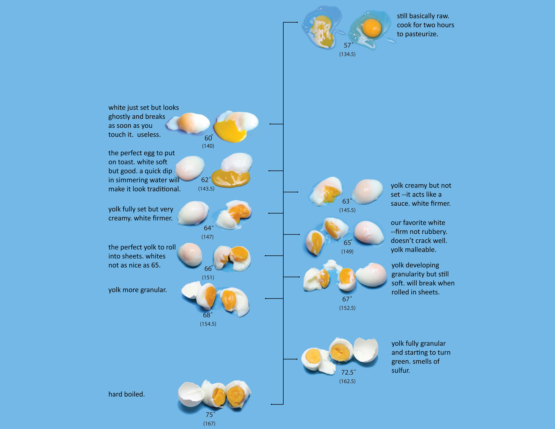 Ways To Fry Eggs Chart