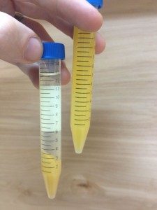 Peach puree in the E-33, after and before.