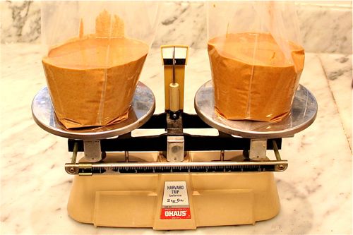 Harvard Balance Balancing nut purée