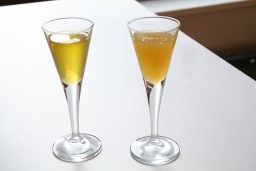 centrifuge-extracted nut oils centrifuge-extracted nut oils: on the left, nut oil from sugar-dosed nut purée; on the right, our normal nut oil