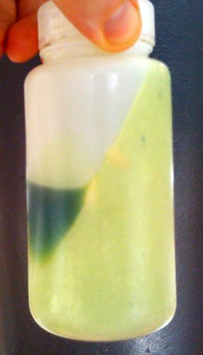spunHomogenizedAvocado Ultrasonically homogenized (400 watts, 5 minutes, 500 grams) and spun (10,000 g's 20 minutes).