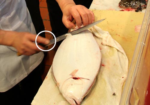 Cutting the scales off of fluke. Here is the belly side. First cut off a strip of scales running down the middle of the fish (not shown in this photo). Hold the tail of the fish with your left hand. Hold the yanagi flat against the fish. Don't press into the fish at all. Saw back and forth with the knife to cut the scales in an even strip. Notice the finger on top of the yanagi (in the circle) this helps guide the knife and makes cutting more accurate. After the middle strip is cut, put the fish on the edge of the board and cut off the scales at an angle (shown in this photo).