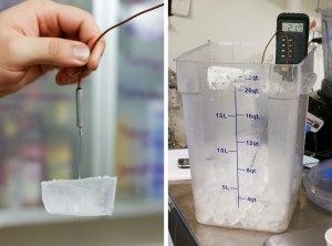 Even big ice doesn't stay colder than zero for long.